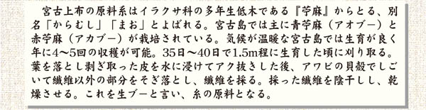 宮古上布作業工程/糸の原料「芋麻」の栽培